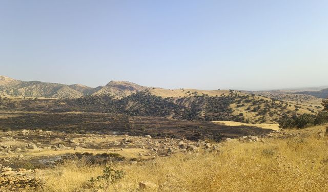 Güncel