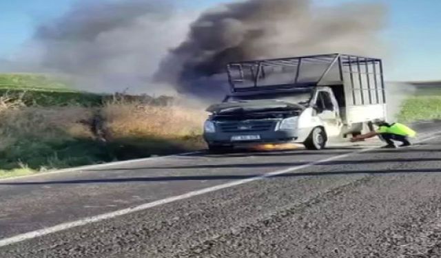 Güncel