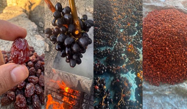 Uludere’de Kuru Üzüm Mesaisi Gelenek Nesilden Nesile Yaşıyor