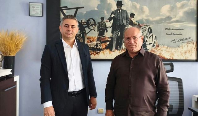 Güncel