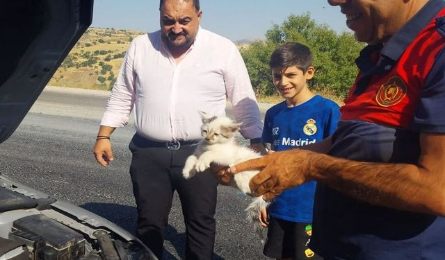Otomobilin motoruna sıkışan kedi kurtarıldı