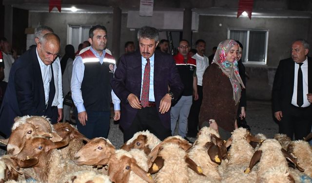 Cizreli Kadın Çiftçiye 100 Küçükbaş Hayvan Teslim Edildi