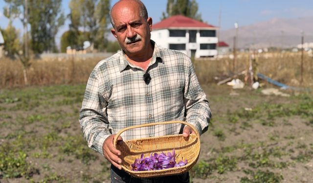 Esnaflığı bıraktı, tarlada serveti buldu