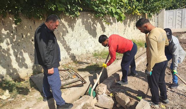 Güncel