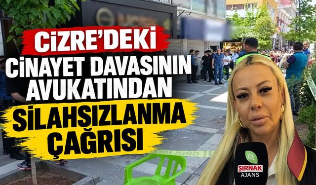Cizre’deki cinayet davasının avukatından silahsızlanma çağrısı