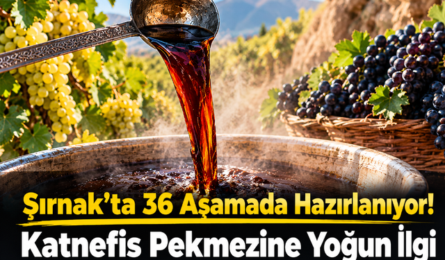 36 Aşamalı Zorlu Yolculuk! Şırnak’ın Katnefis Pekmezi
