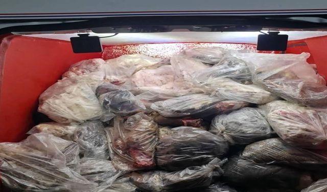 Menşei belirsiz 820 kilo hayvansal iç yağ ve sakatat ele geçirildi
