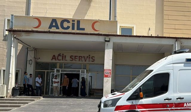 Otomobil şarampole girdi 3 yaralı