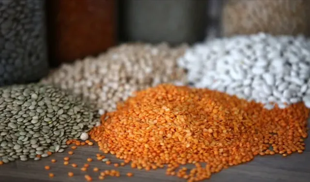 Güneydoğu’dan Hububat İhracatında Dev Atılım