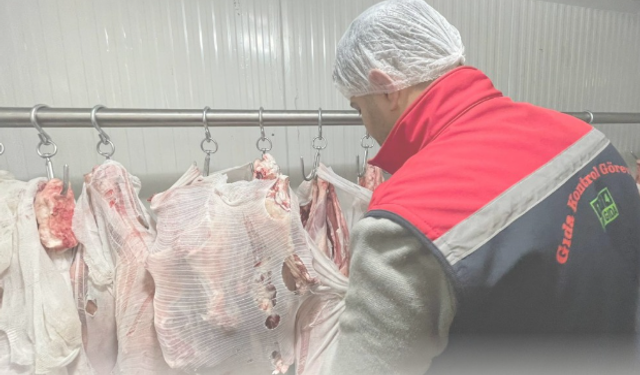 Şırnak’ta Kasaplarda Et Denetimi Sıkılaştırıldı