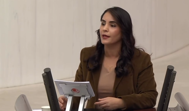 DEM Parti Milletvekili Uysal:"Şiddetle Mücadele Bütçesi Yetersiz"