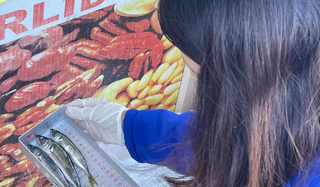 Güçlükonak'ta Balıklar Mercek Altında