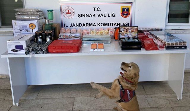 Şırnak’ta 10 Milyon TL’lik Kaçak Malzeme Ele Geçirildi, 34 Aranan Şahıs Yakalandı