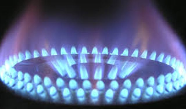 Doğal gaz şirketlerinin 2026 katılma pay oranı değişmedi