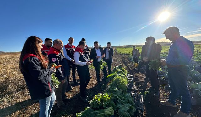 Silopi'de 72 Dekarlık Alanda Bereketli Hasat