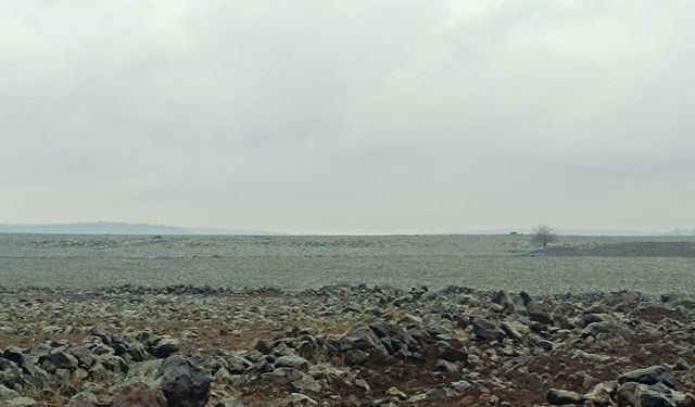 Şırnak'ta Toprak Taşlardan Temizleniyor