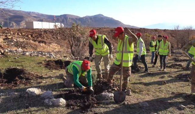 Şırnak Gabar’da Fidan Dikim Seferberliği Başlatıldı
