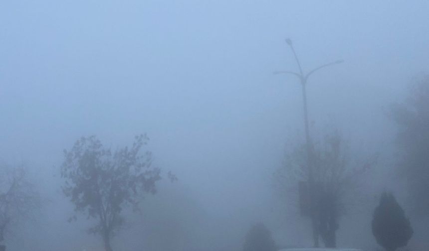 Yoğun sis hayatı felç etti