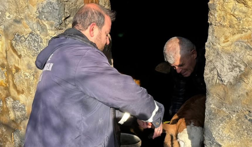 Hayvan Sağlığı İçin Seferberlik Devam Ediyor