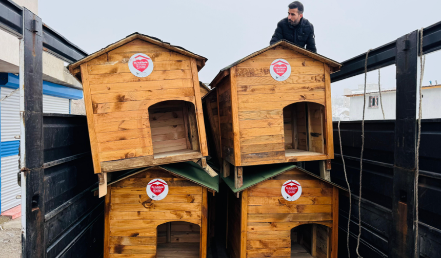 HAYTAP’tan Şırnak’taki Sokak Hayvanlarına Köpek Kulübesi