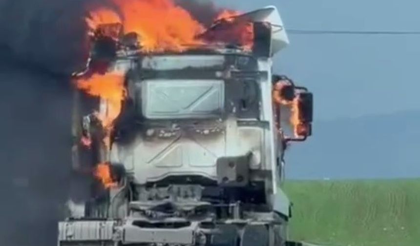 Silopi'de Seyir Halindeki Tır Alev Alev Yandı