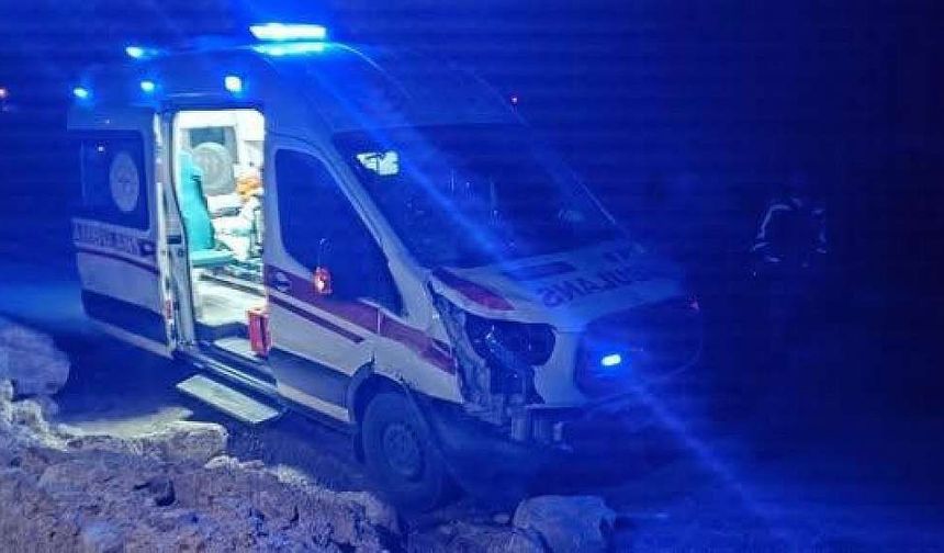 Aniden Yola Çıkan Ata Ambulans Çarptı, At Telef Oldu
