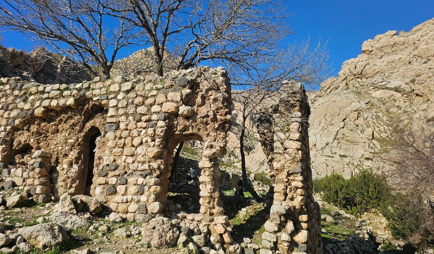 Feqiyê Teyran Medresesi yok olma tehlikesiyle karşı karşıya