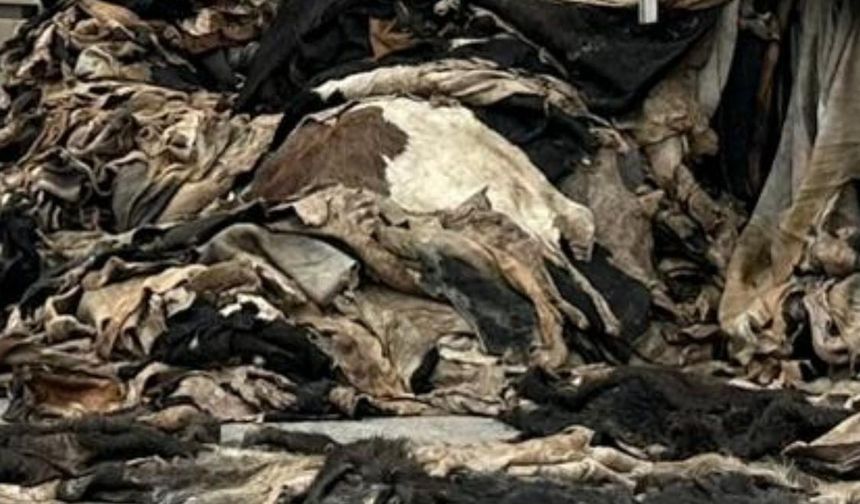 Şırnak’ta Suç Örgütlerine Büyük Darbe