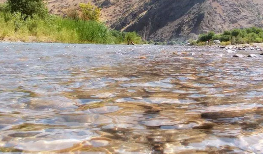 Mijin Suyu Projeleri Ekosistem Tartışmasını Büyüttü