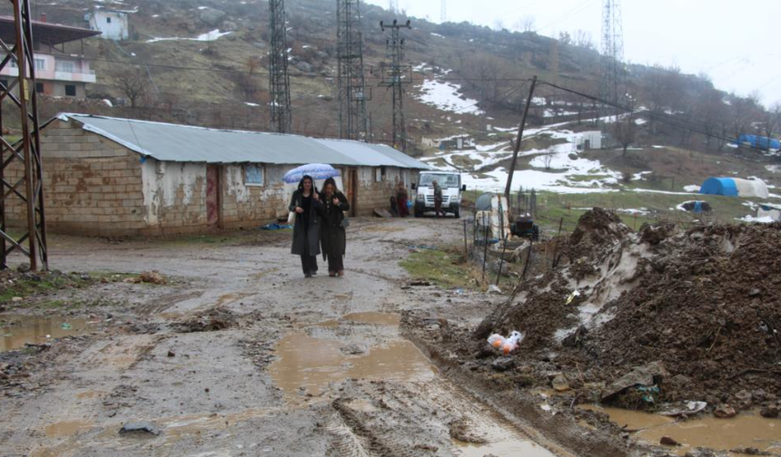 Harvard’lı Doktorun Şaşırtan Rotası, Amerika Yerine Şırnak