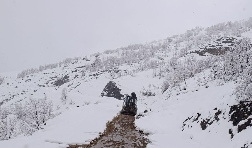 Şırnak’ta karla mücadele seferberliği