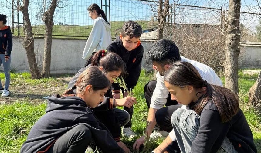 Silopi’de Yeşil Seferberlik,8 Bin Fidan Toprakla Buluştu