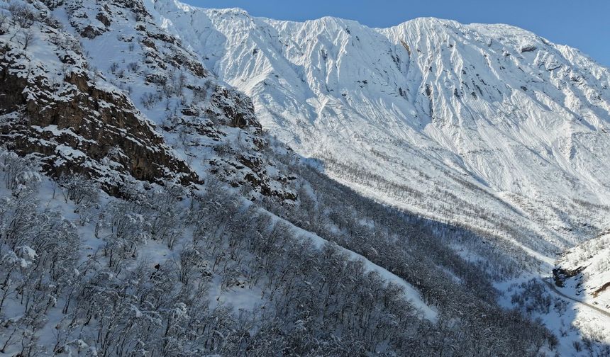 Şırnak Ormanlarında Görsel Şölen