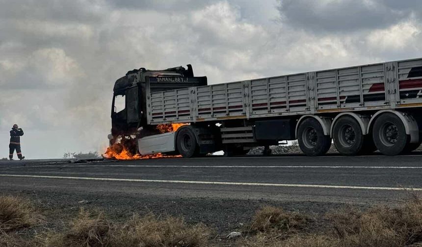 Seyir halindeki tır alev alev alev yandı