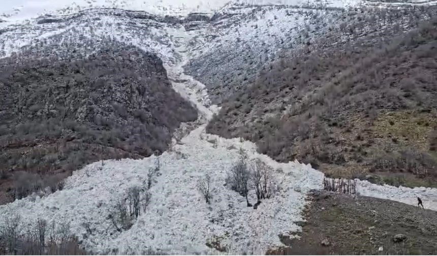 Şırnak'ta çığ düşme anı kameraya yansıdı
