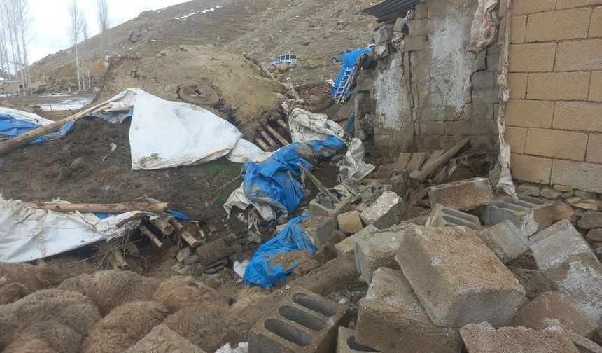 Ahır Çökmesi Nedeniyle 23 Küçükbaş Hayvan Telef Oldu