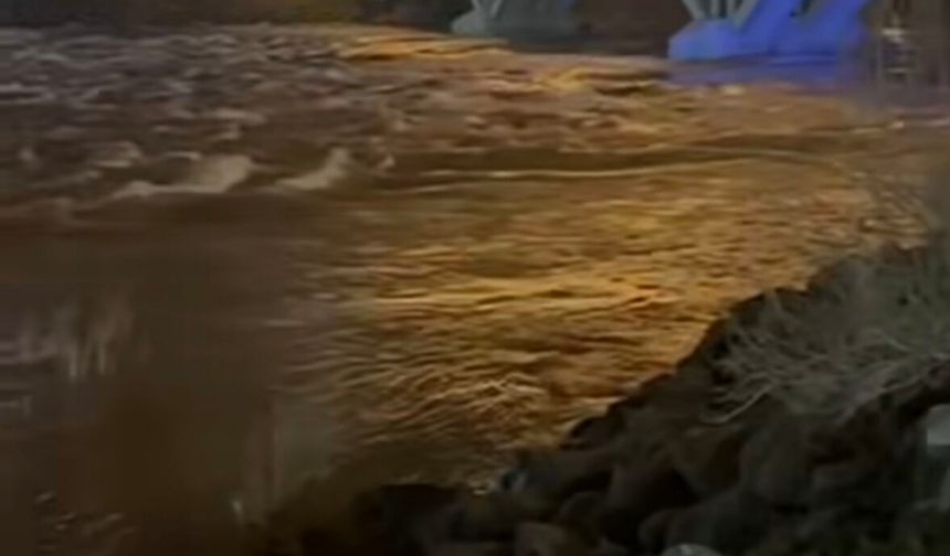 Cizre’de Dalış Alanları Sular Altında Kaldı