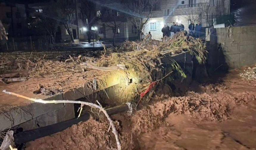 Kasrik Çayı Çamur Aktı; Cizre'de Sular Kesildi