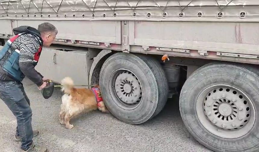 Şırnak’ta tarihi operasyon