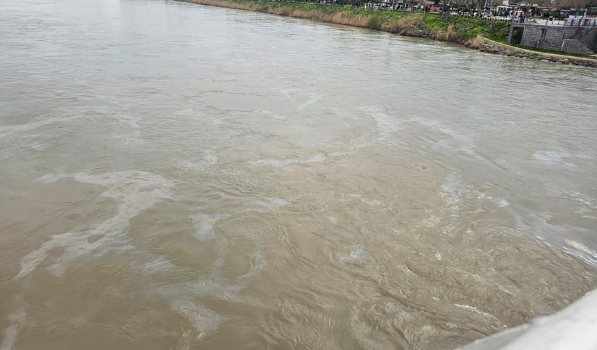 Cizre’de Boru Hattı Sızıntısı, Dicle Nehri Petrolle Kaplandı