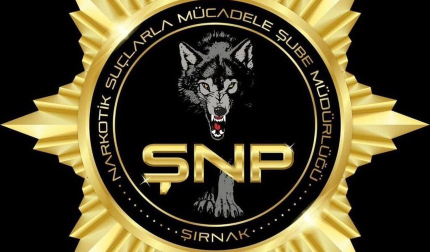 Şırnak polisi zehir tacirlerine göz açtırmıyor