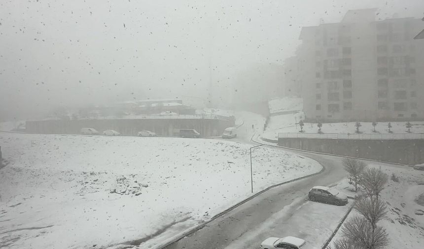 Bölgede Nisan ayında kar esareti