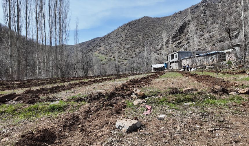 Hibeli Proje ile Şırnak’ta Tarım Canlanıyor