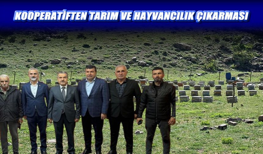 BEYKOOP’tan güçlü kalkınma hamlesi çağrısı