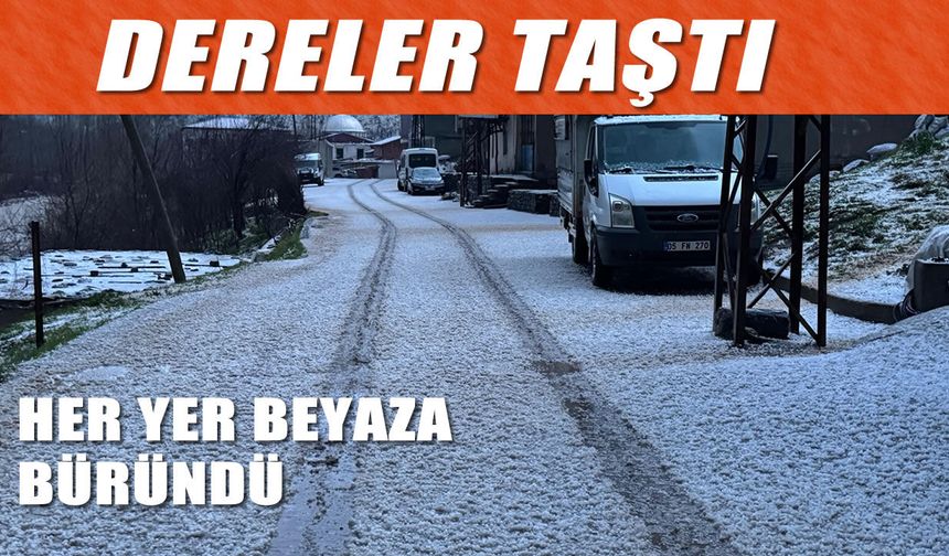 Beytüşşebap’ta dolu sürprizi, ilçe beyaza teslim oldu