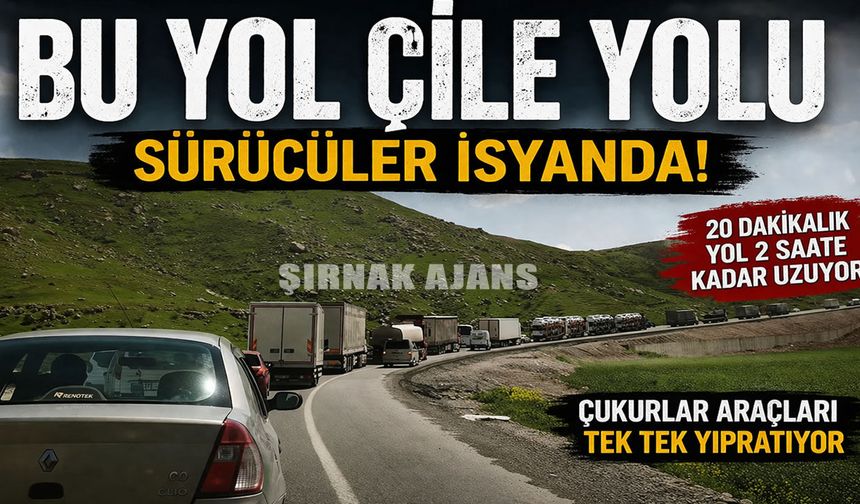 Köstebek yuvasını andıran Cizre–Silopi yolunda sürücüler isyan etti