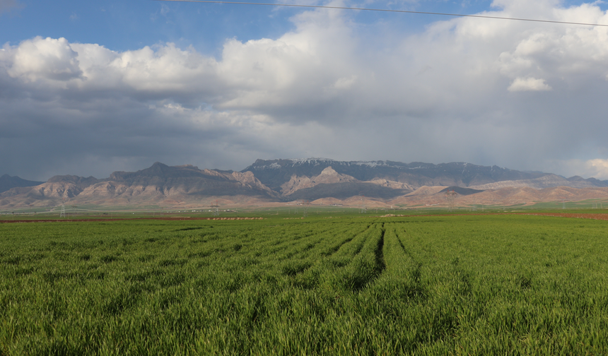 Şırnak'ta Okuma Temalı Fotoğraf Yarışması Başlıyor