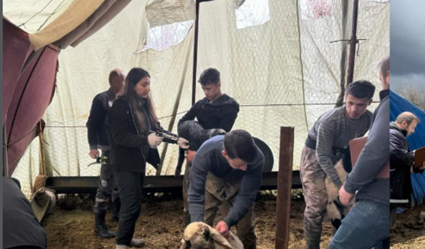 Uludere’de Üreticiye Saha Desteği