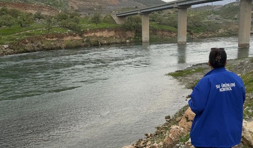 Ilısu’da Sazangil Avına Geçit Yok