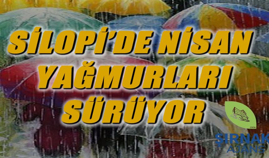 Silopi’de yağışlı hava etkisini sürdürecek